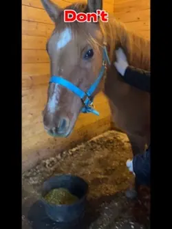 What if friend tasty