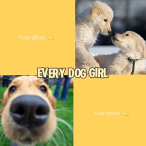 Katze und Hund