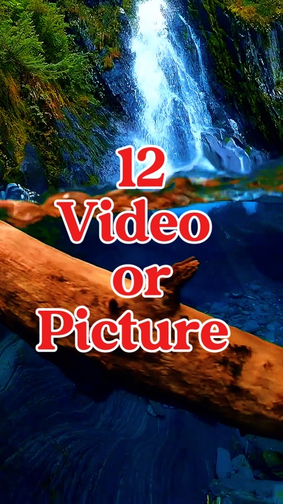 12 video or picture 