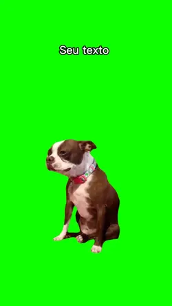 dog triste