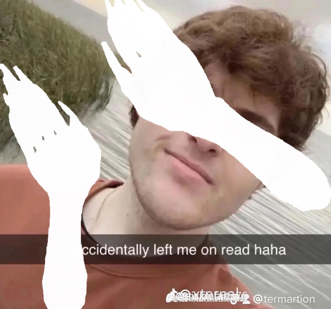 Tiktok trend 2