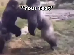 Gorilla Fight Meme