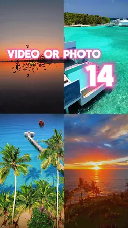 Use 14 video/pics