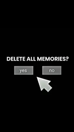 delete memories