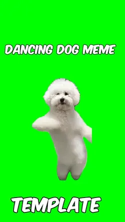 Dancing dog 