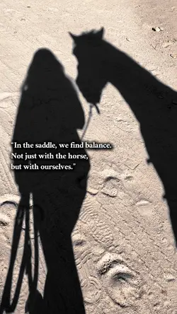 Horse Riding Quote