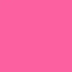 pink cat 🩷