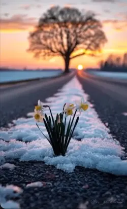 Oración de la mañana