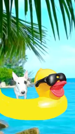 Tropical Beach Duck