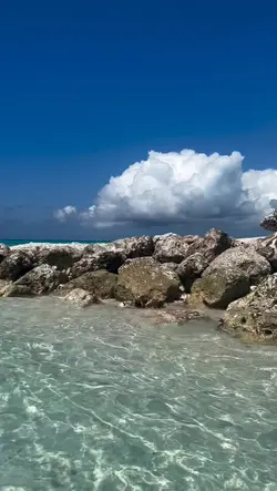 Música/video