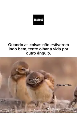 Conselho pra vida!