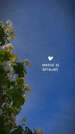 Aprecie os detalhes 