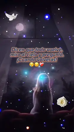 Vuelve😔💔🕊️