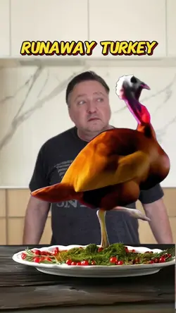 Thanksgiving Turkey 