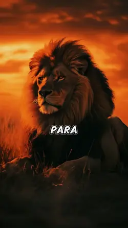 no te preocupes 
