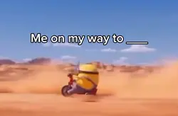 Minion bike