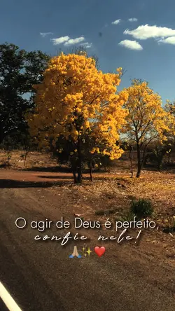 Status do dia