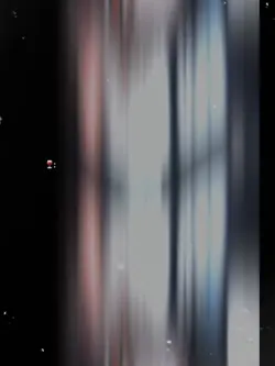 Solita | Bad Bunny 🐰