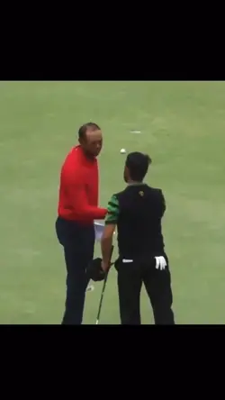 Tiger Woods Template