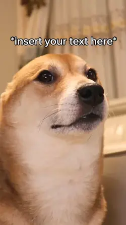 Dog dancing viral