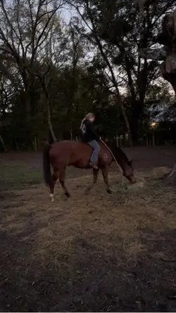 words can’t explain 