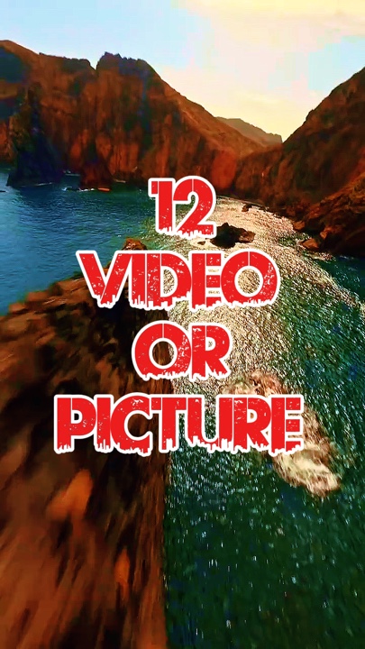 12 video or picture 