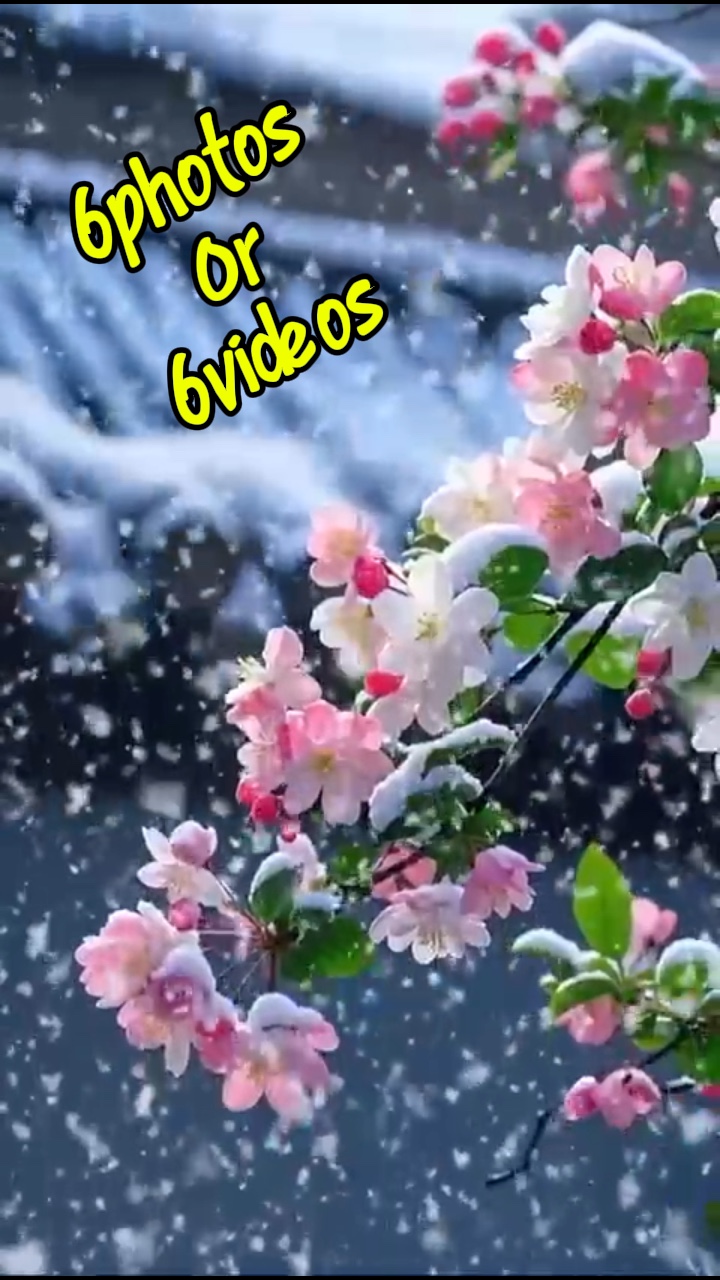 6 fotos / videos