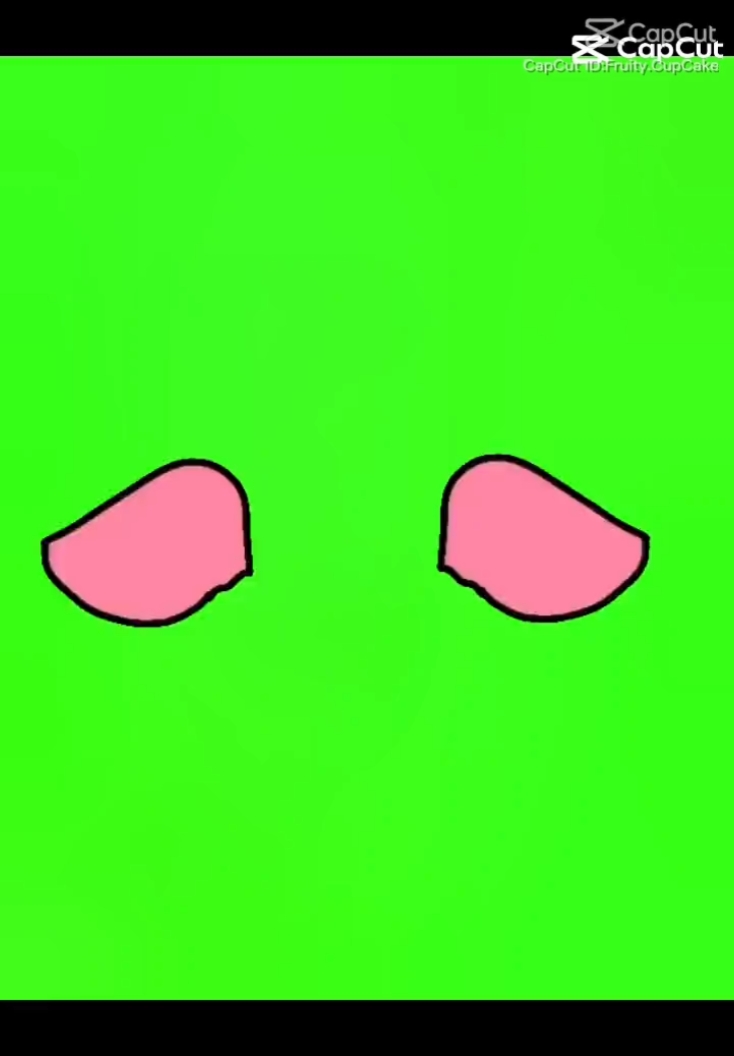 ears v2