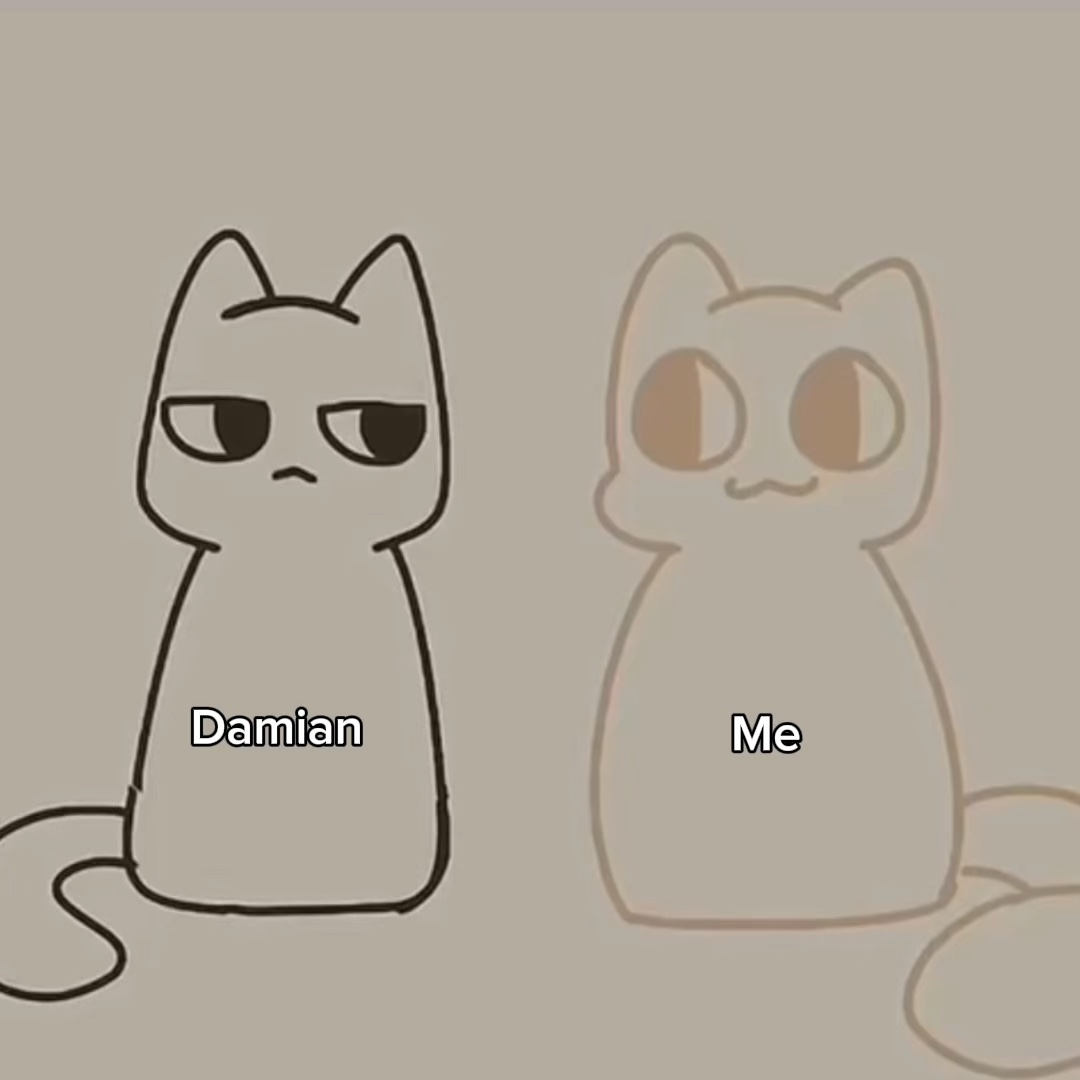 kucing