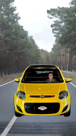 Fiat palio