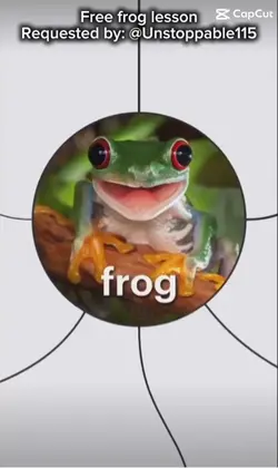 Frog lessons