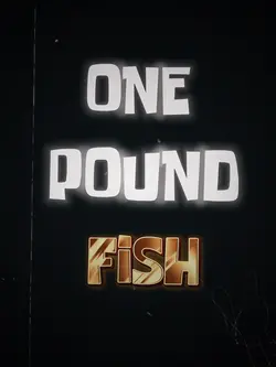 One Pound Fish ๐ฎ๐ณ