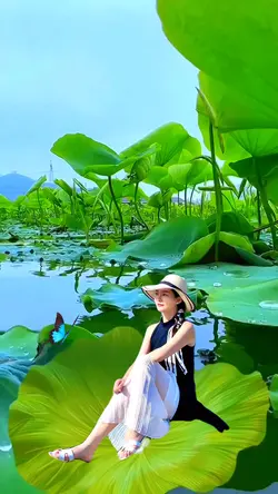 Fine view
