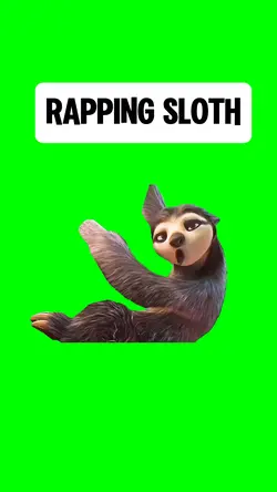RAPPING SLOTH