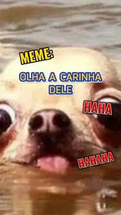 olha a carinha dele