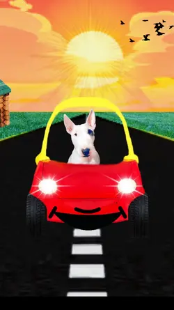 Driving Happy Car