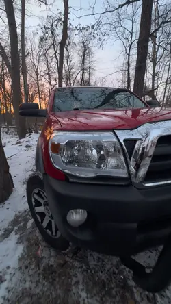 Tacoma 