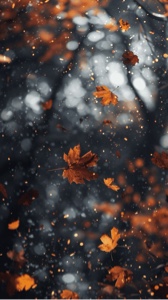 Vibrações De Outono 🍂🍁
