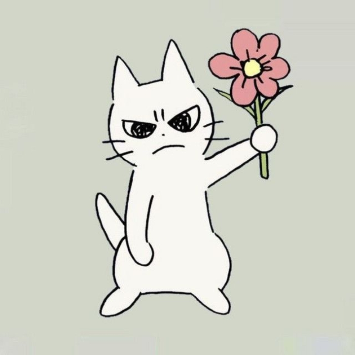 > rosto < 