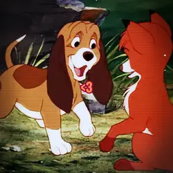 The fox and hound π€