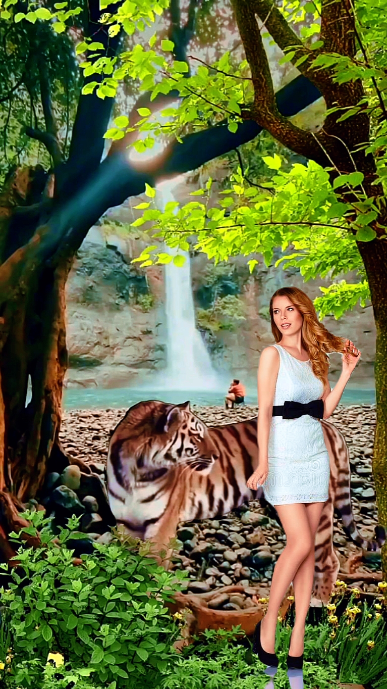 Safari