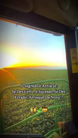 o segredo é arriscar