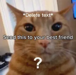 Hey BeStIe