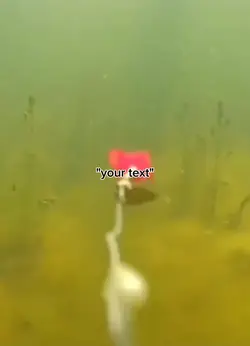 fishing meme