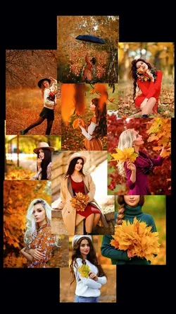 Autumn picture