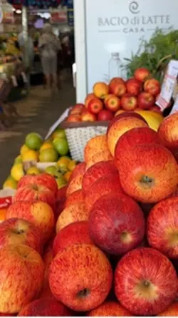 Hortifruti