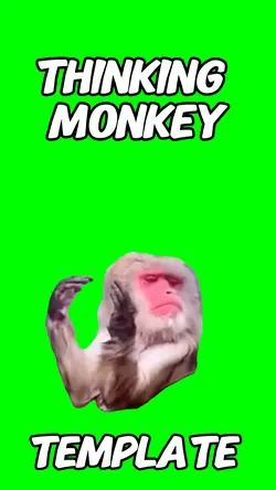 Thinking monkey
