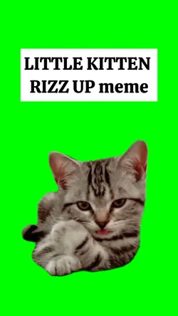 KITTEN RIZZ UP