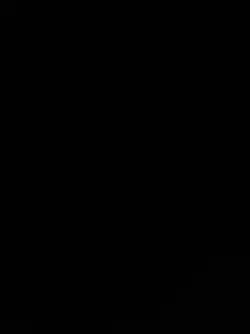 baby,my little spide