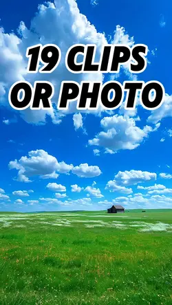 19 clips or photo